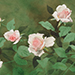 Tsutomu Fujii Gallery